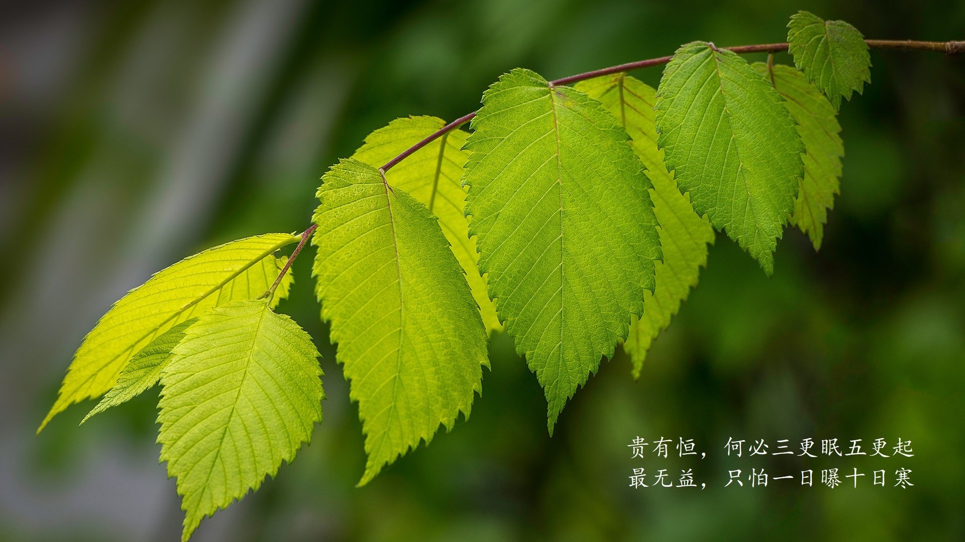 kaiyun体育综合-乌拉圭队在巴黎奥运会比赛中多次通过中路渗透得分，乌拉圭冠军是哪一年
