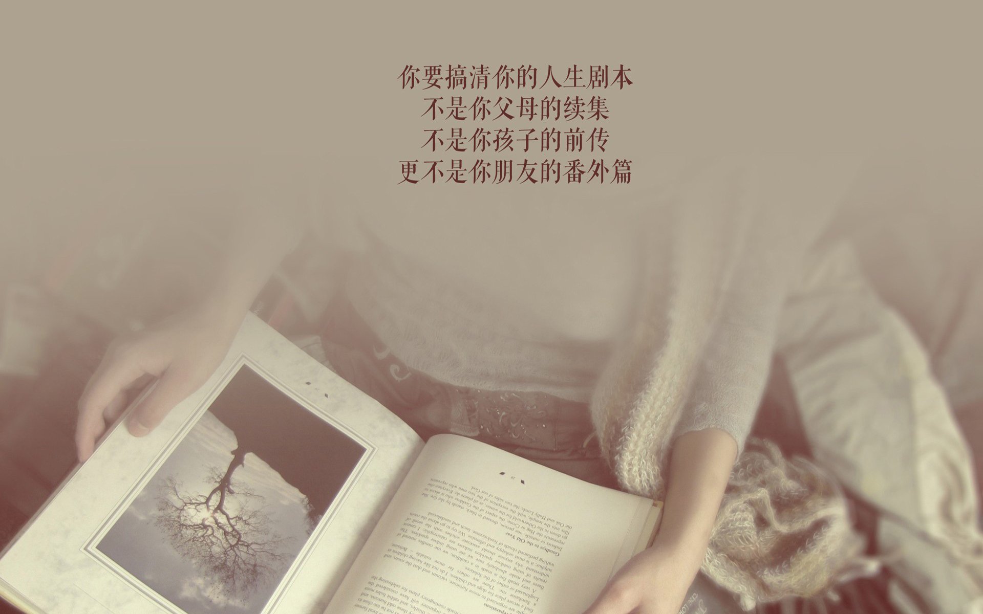 美因茨是否具备挑战前六的可能，美因茨换帅