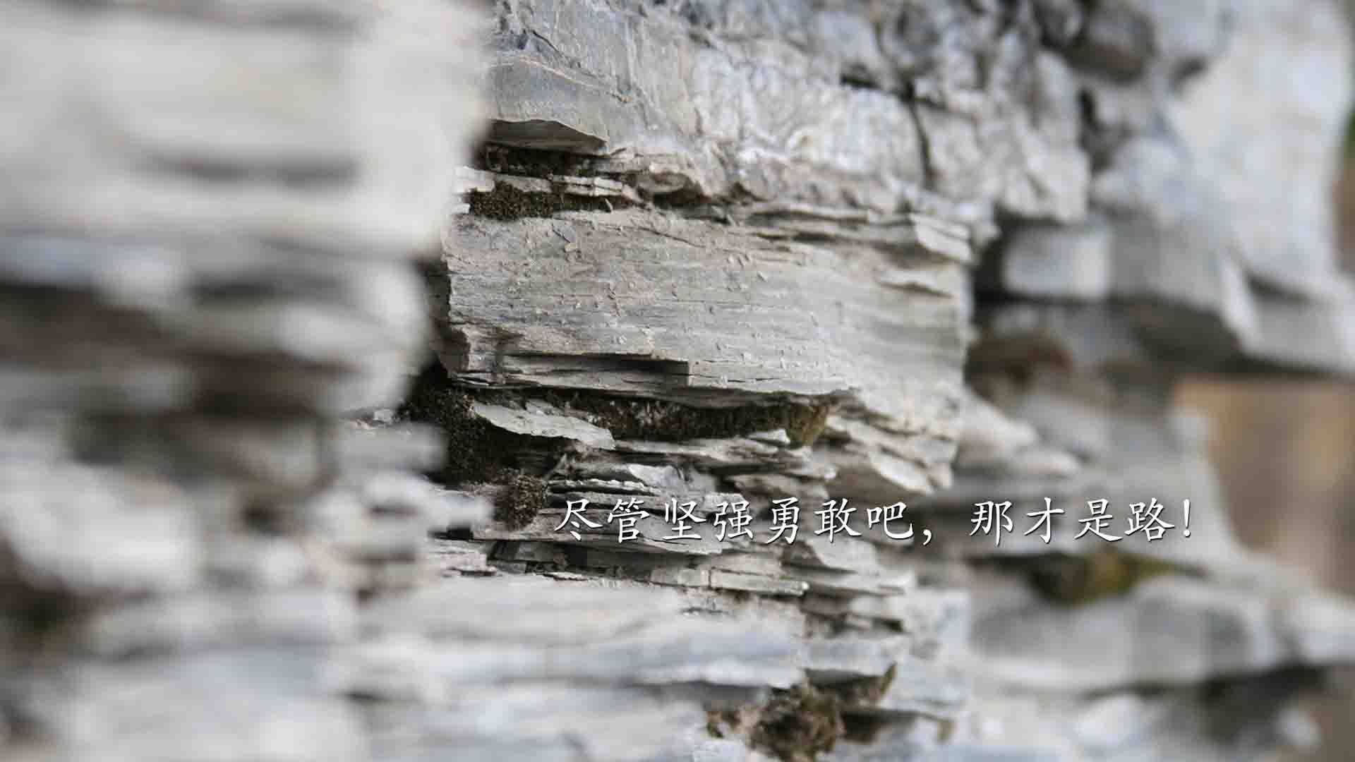_骑士年轻核心持续火力，未来充满希望_，骑士ehlo