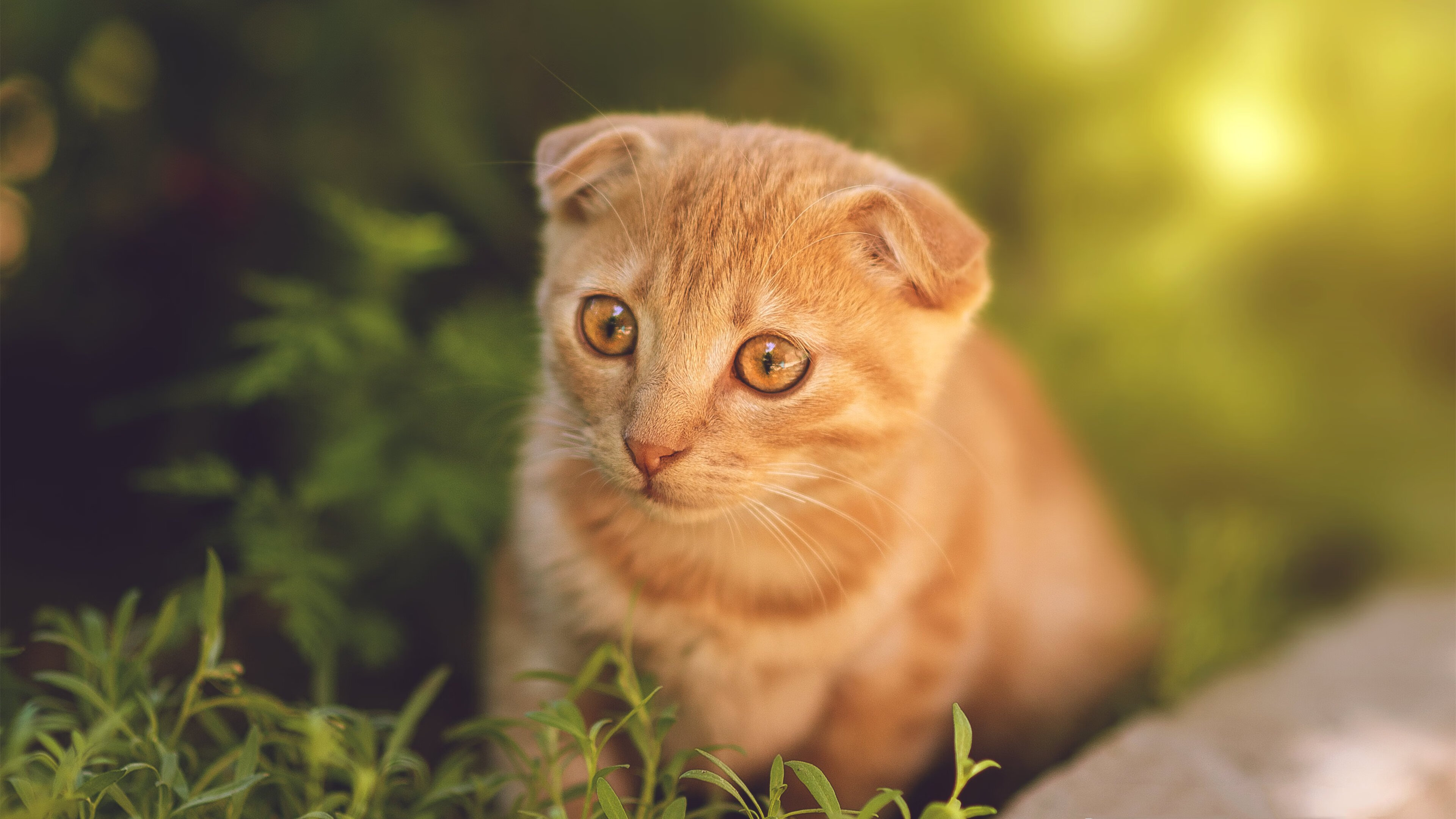 青少年选拔模式存在年龄焦虑问题,青少年选择奖