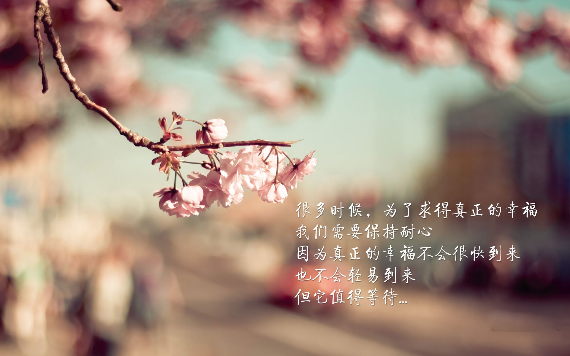 法国年轻球员崭露头角，期待未来大放异彩