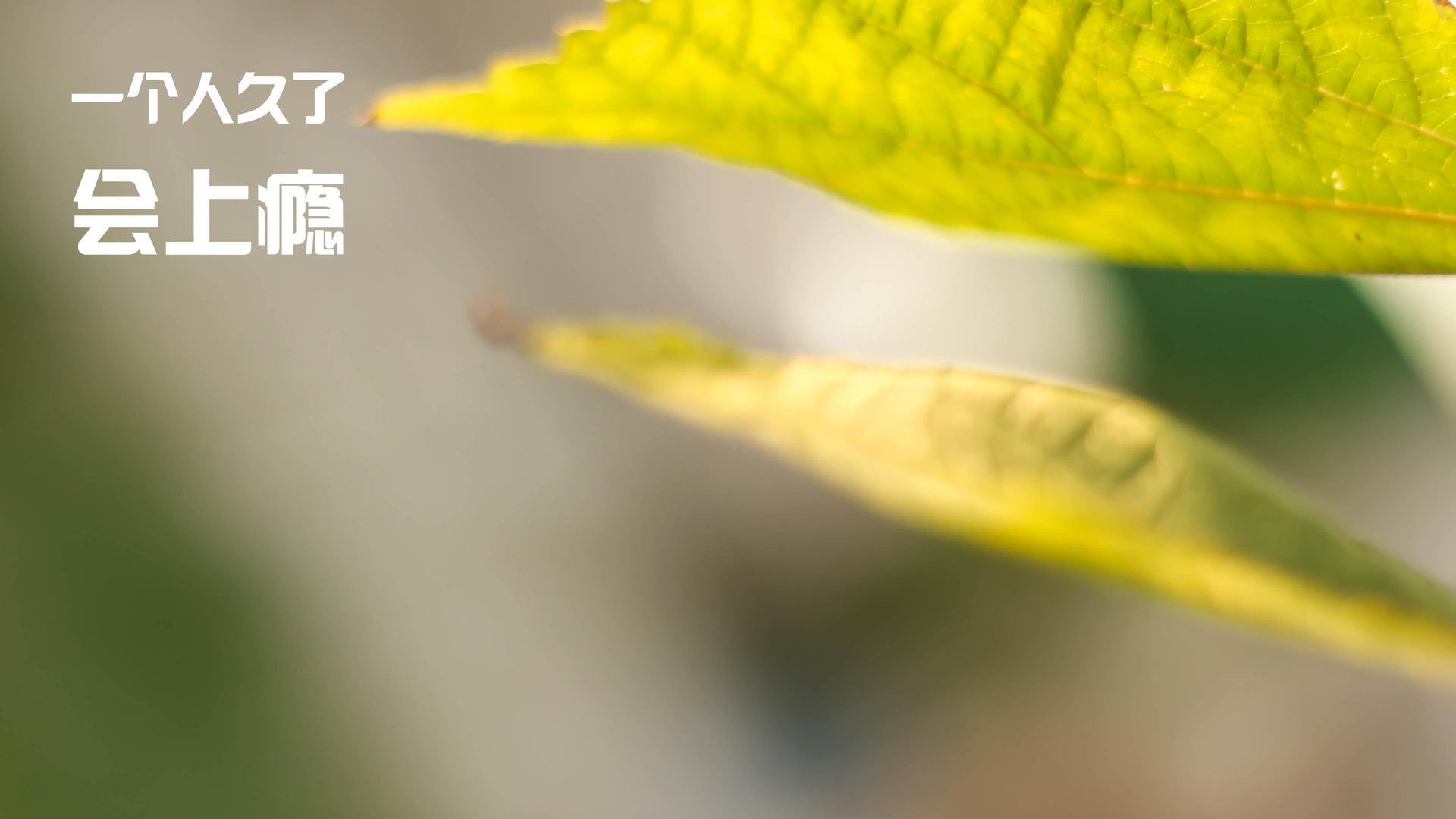 英国队赛后感谢团队支持与鼓励，英国队赛后感谢团队支持与鼓励的话